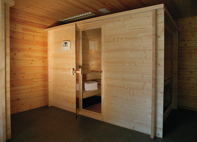 Luxury Home Sauna - in foreground, small and compact birch sauna cabinet with open door - LifetimeLuxury023